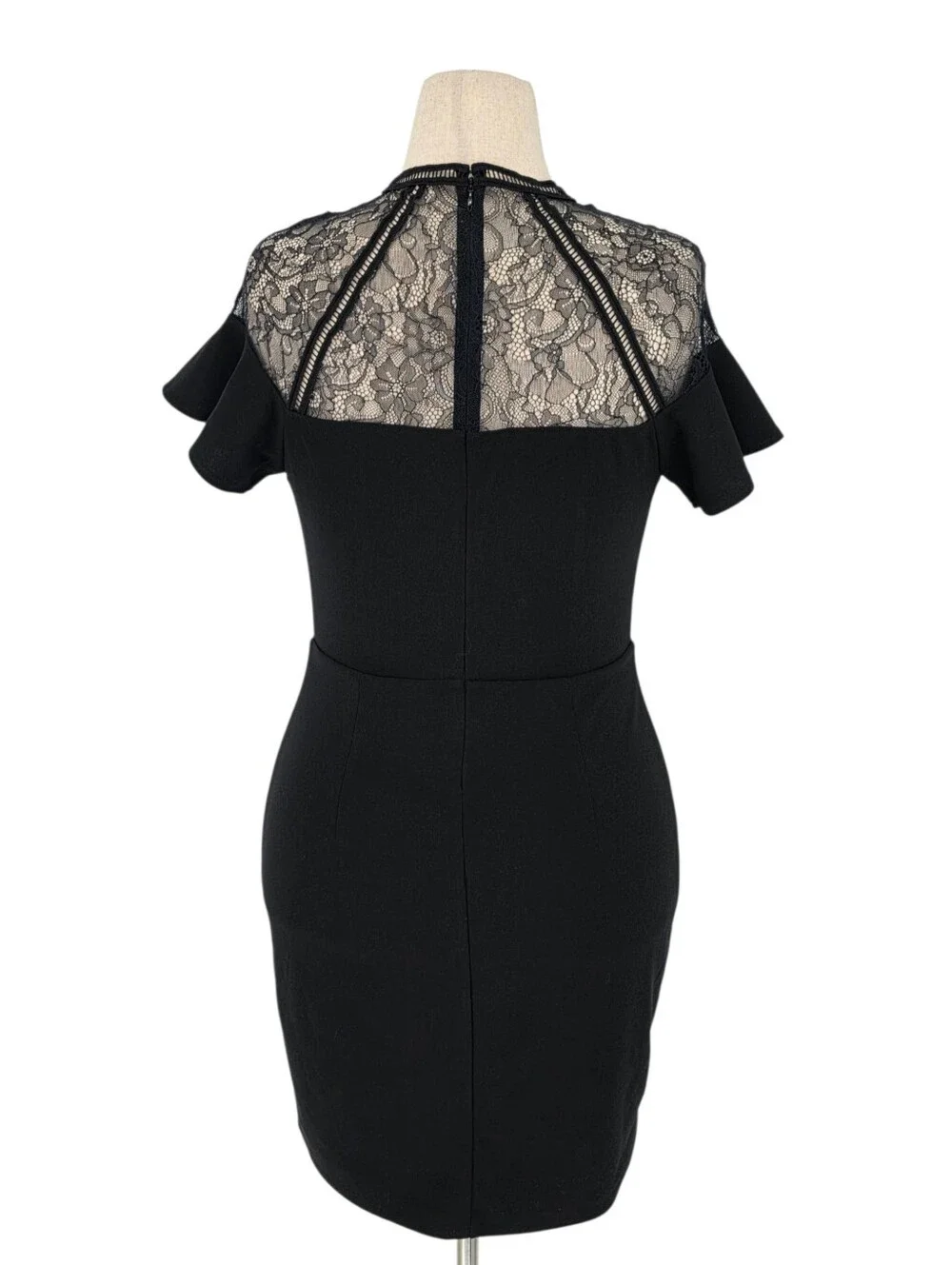 Express Black Lace Illusion Sheath Cocktail Dress Flutter Sleeve Medium M